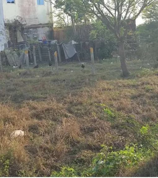 plot for sale 