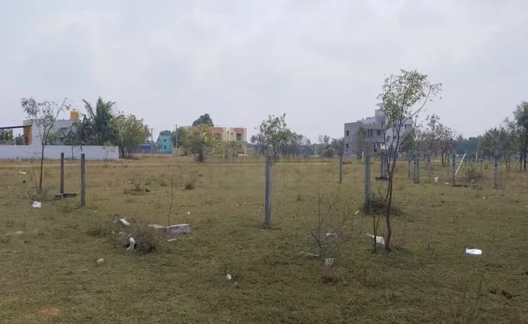 Land for sales