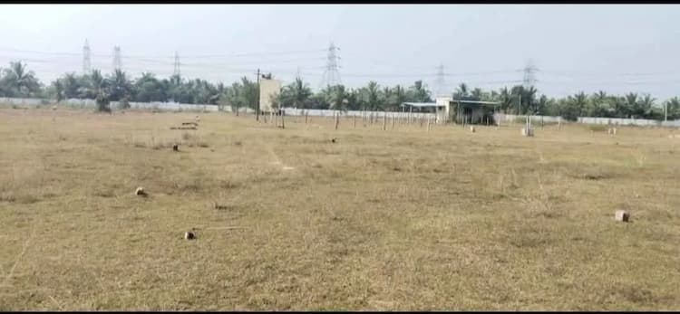 Land for sales