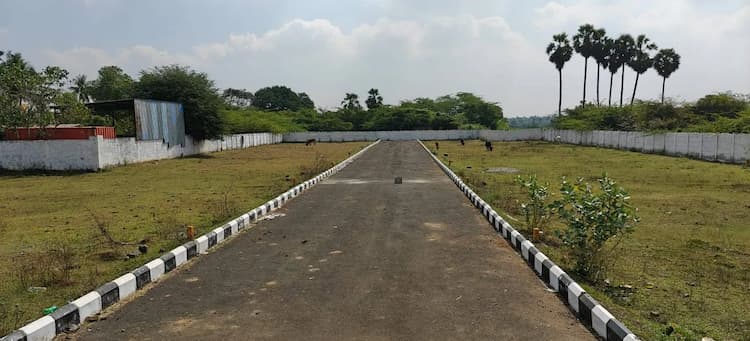 Land for sales