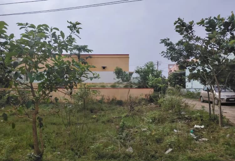 Land for sales