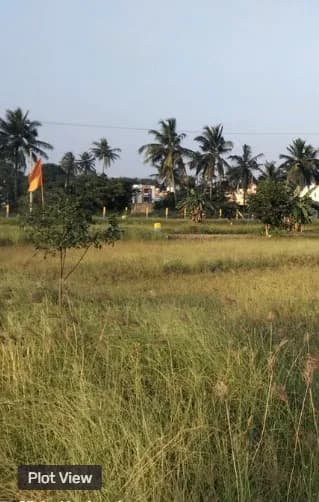 plot for sale
