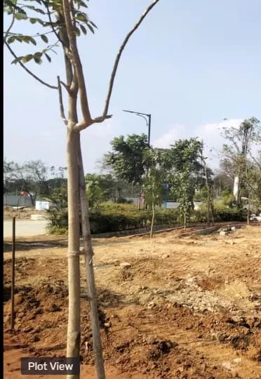 plot for sale