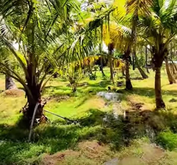 Land for sales