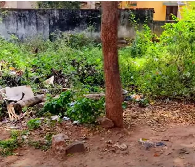 Land for sales