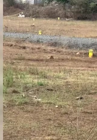 plot for sale