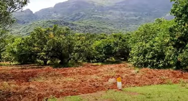 Land for sales