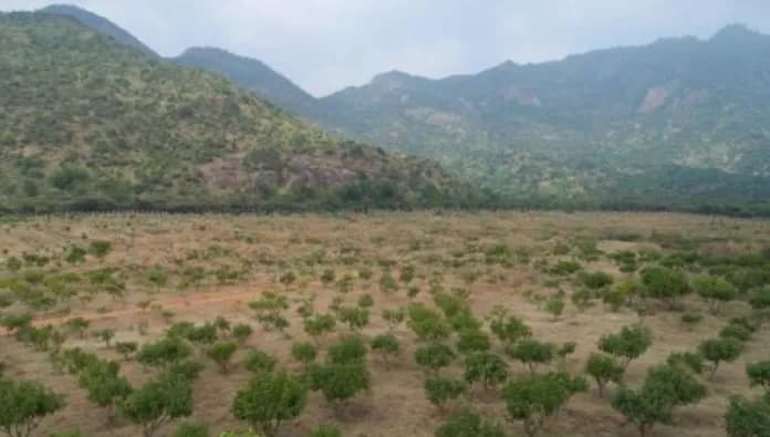 Land for Sale