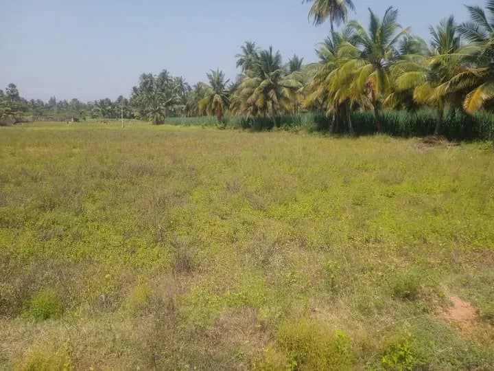 Land for sales