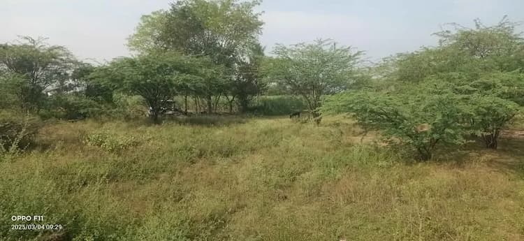 Land for sales