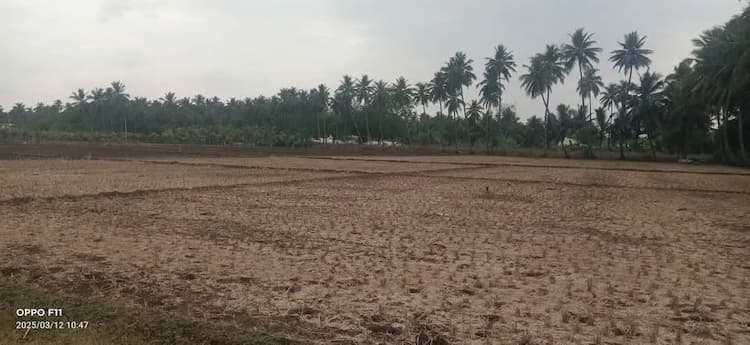 Land for sales
