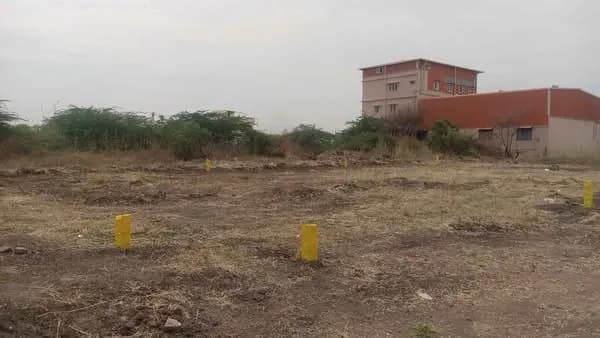Trending Projects Image