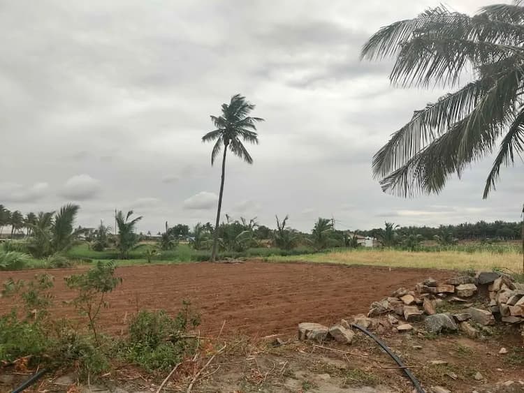 4.5 acre Plot