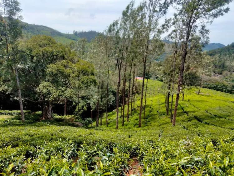 Single Property Image