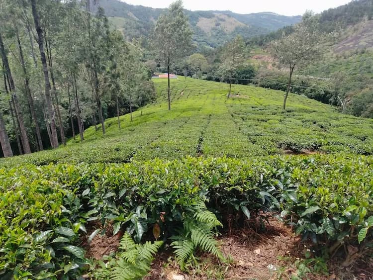 Single Property Image