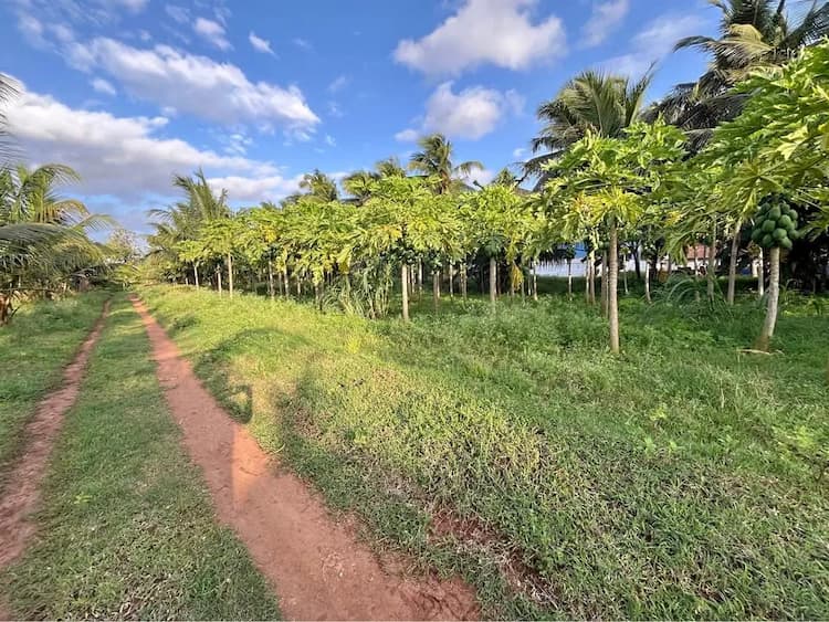 Single Property Image