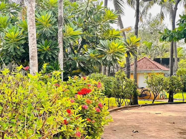 Single Property Image