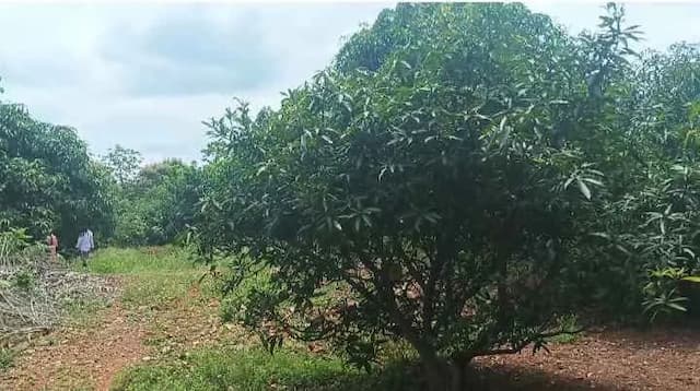 Trending Projects Image