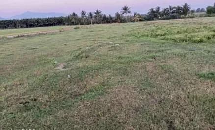 2 acre Plot