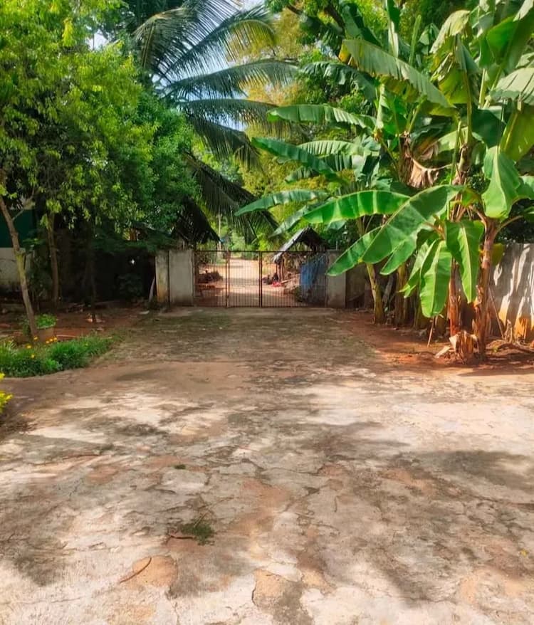 Single Property Image