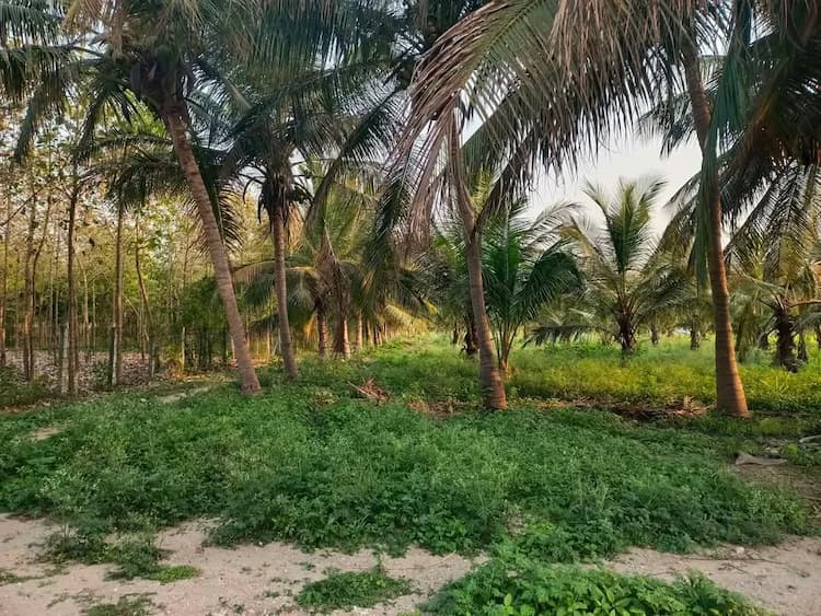 Single Property Image