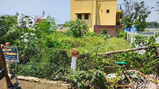 Trending Projects Image