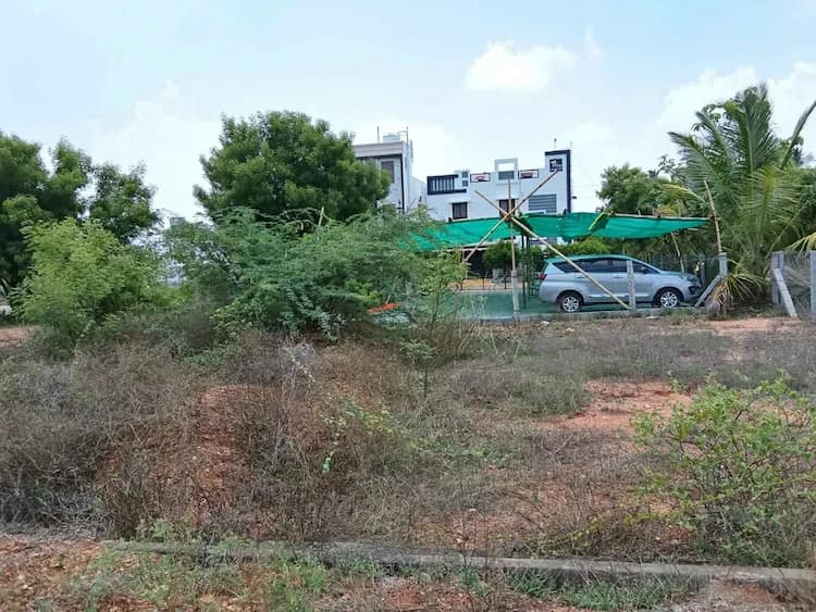 1453 sqft Plot