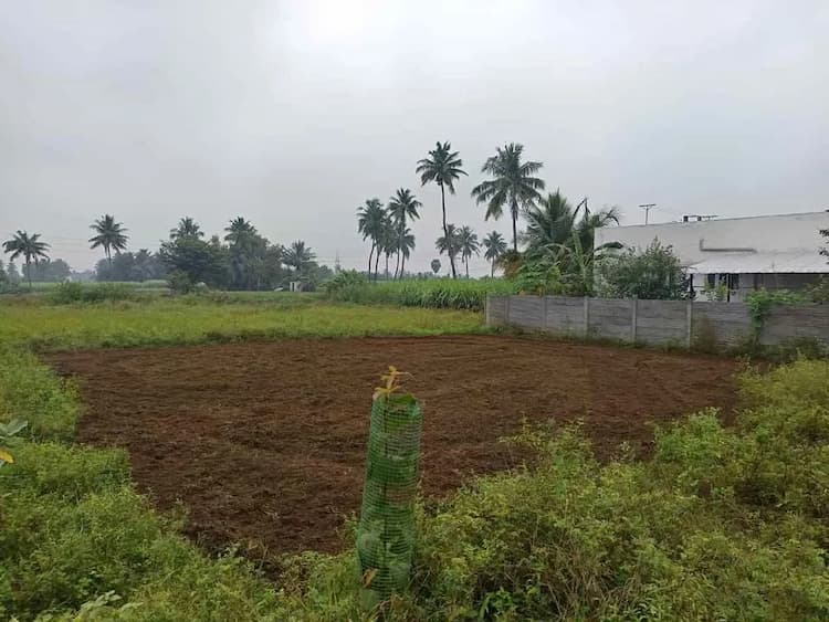 6832 sqft Plot