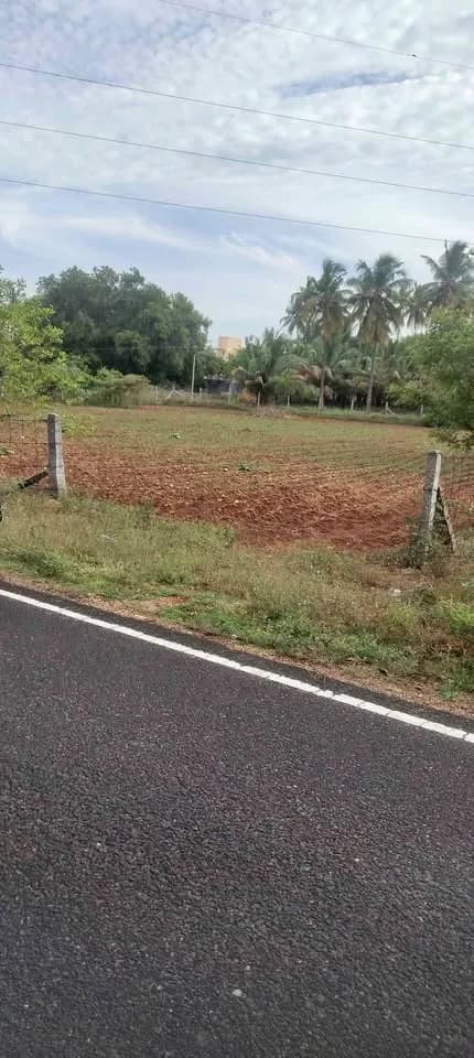 62 cent Plot