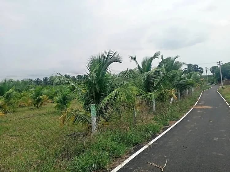 1.2 acre Plot