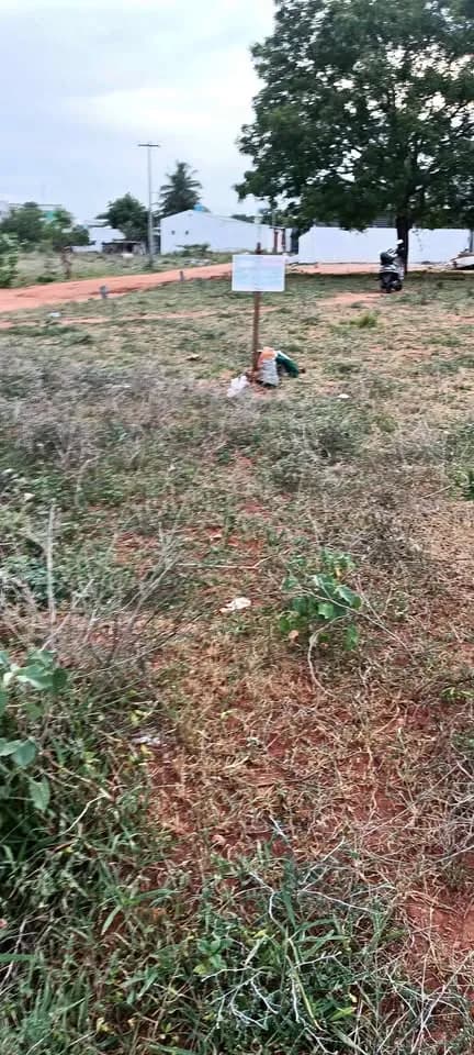 6.75 cent Plot