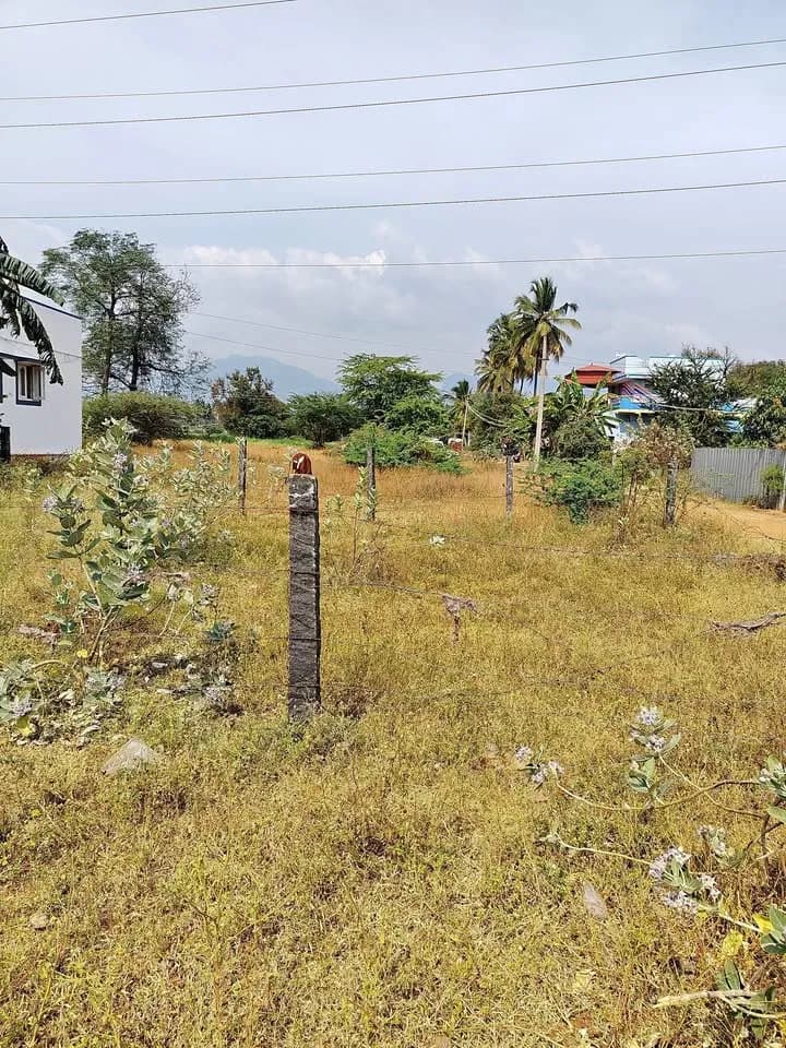 20 cent Plot