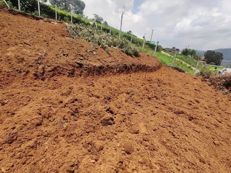 32 cent Plot