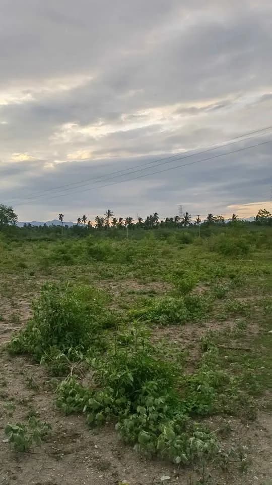 5 acre Plot