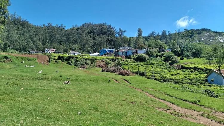 1 acre Plot