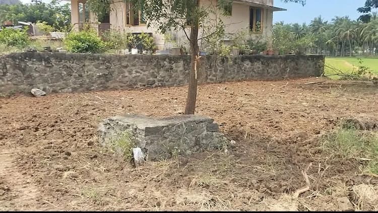 4 cent Plot