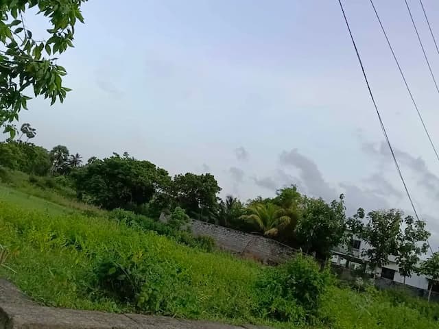 Trending Projects Image