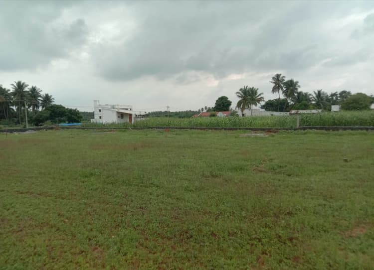 75 Cent Land for Sale near Dharapuram Road.