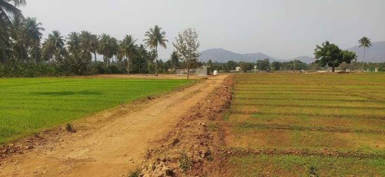 Single Property Image