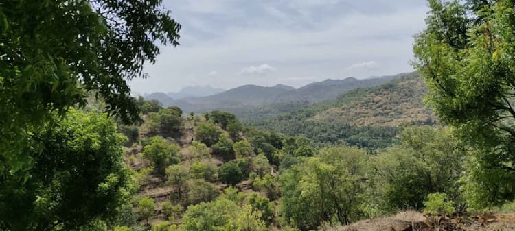 Single Property Image