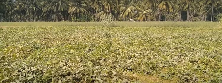 3 Acre Land for Sale