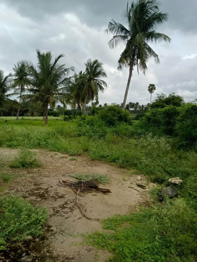 75 Cent Land for Sale