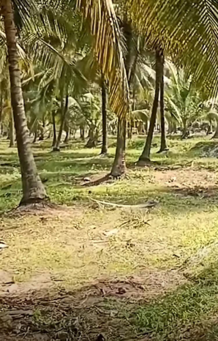 8 Acre Land for Sale
