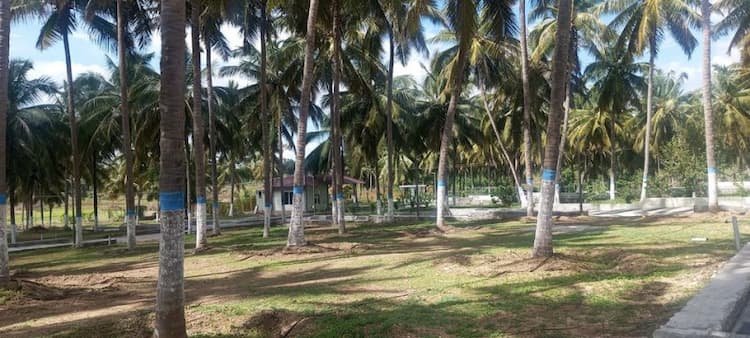 Single Property Image