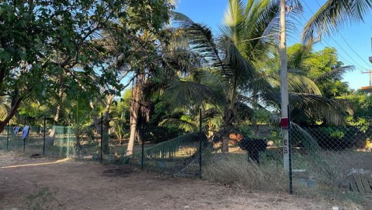 Single Property Image