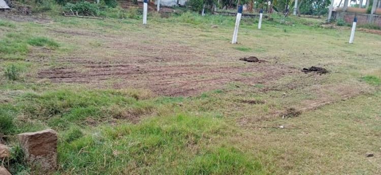Plot sale