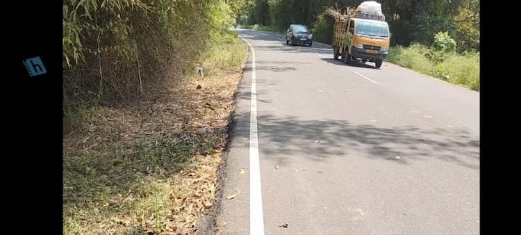  Punjai land for sale