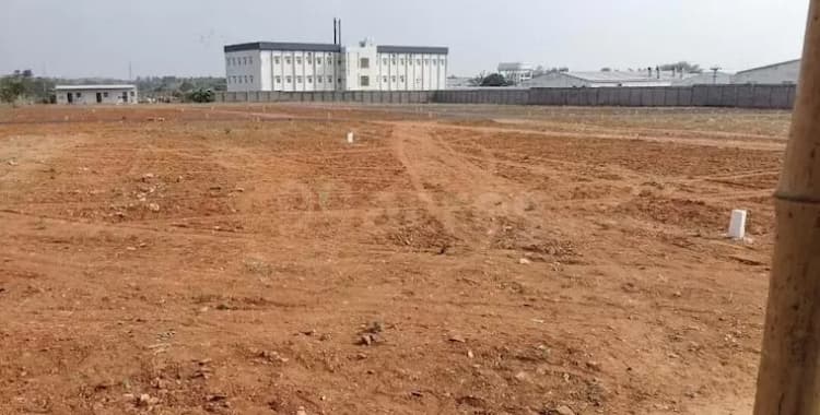 Plot sale