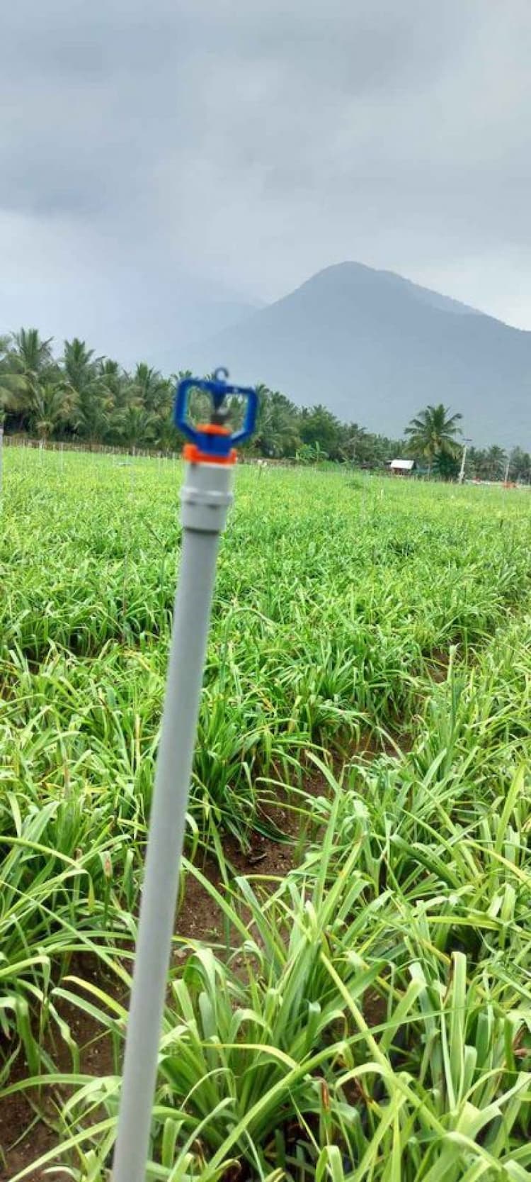 1.40 acres of farm land for sale 