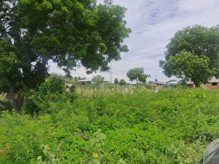 Single Property Image